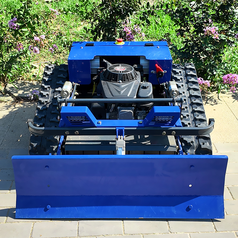 High Quality Self-Propelled  R - Lawn Mower Battery 评论和价格
