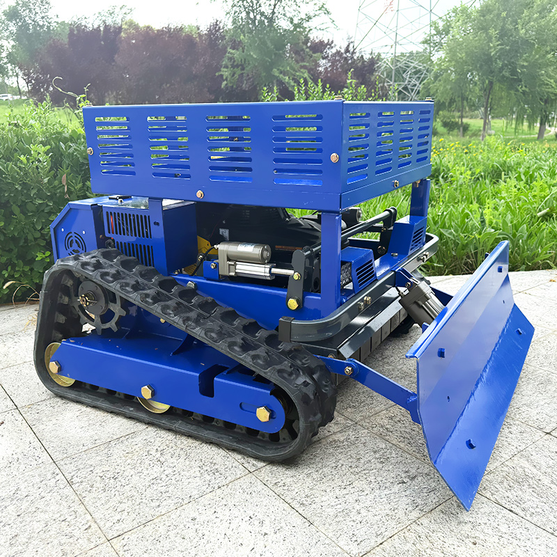 High Quality Self-Propelled  R - Lawn Mower Battery 评论和价格