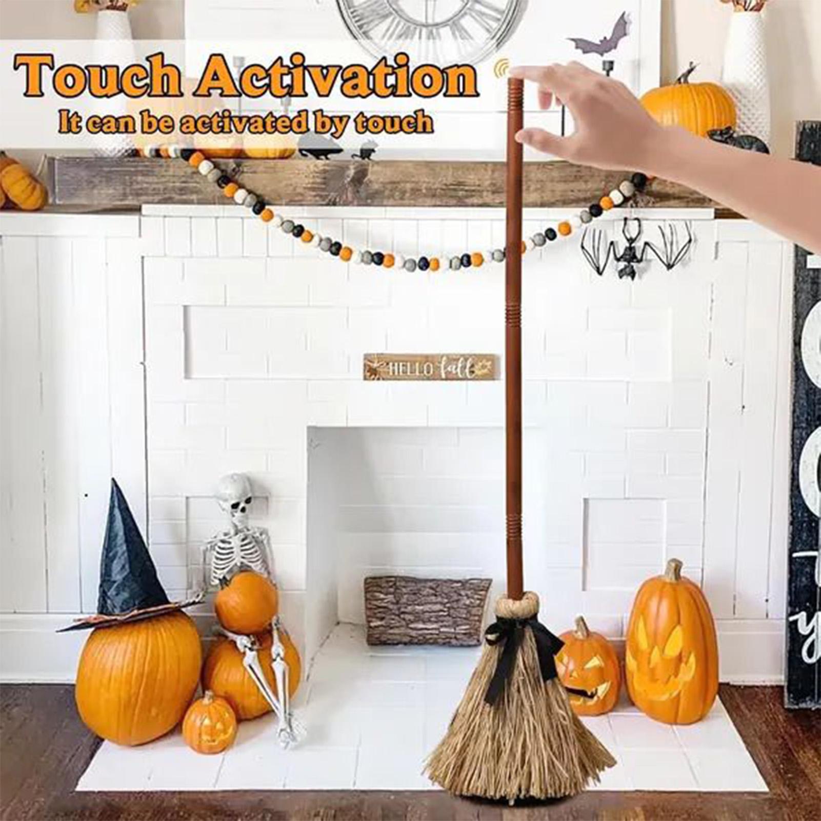 Witch Broom Battery Powered Fu - Outdoor Power Broom 评论和价格