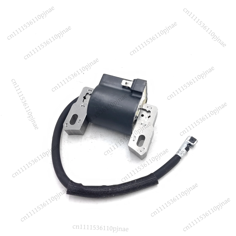 Ignition Coil Module 590454 80 - Outdoor Power Module 评论和价格