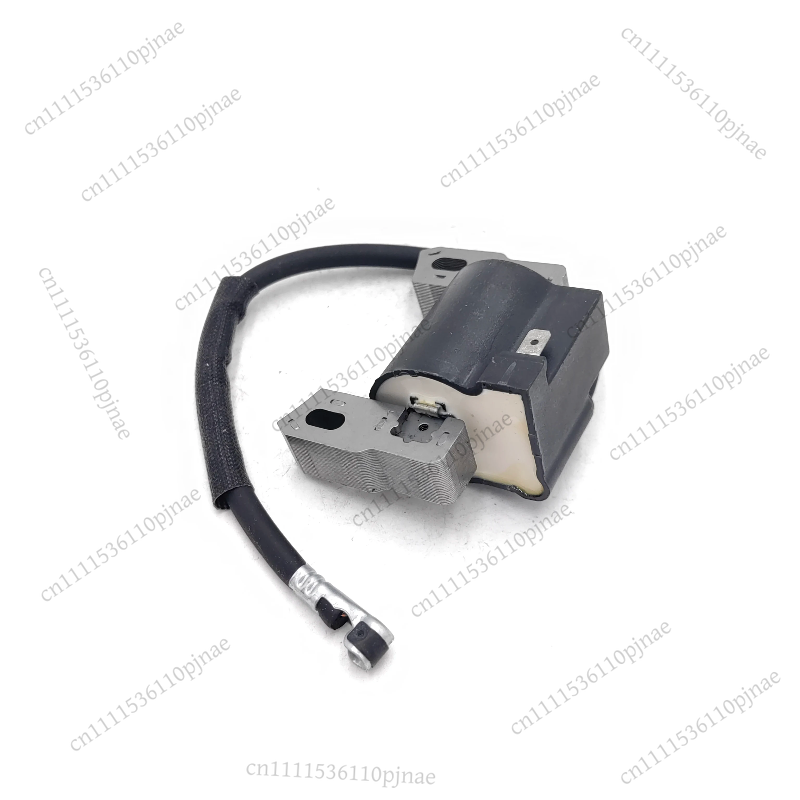 Ignition Coil Module 590454 80 - Outdoor Power Module 评论和价格