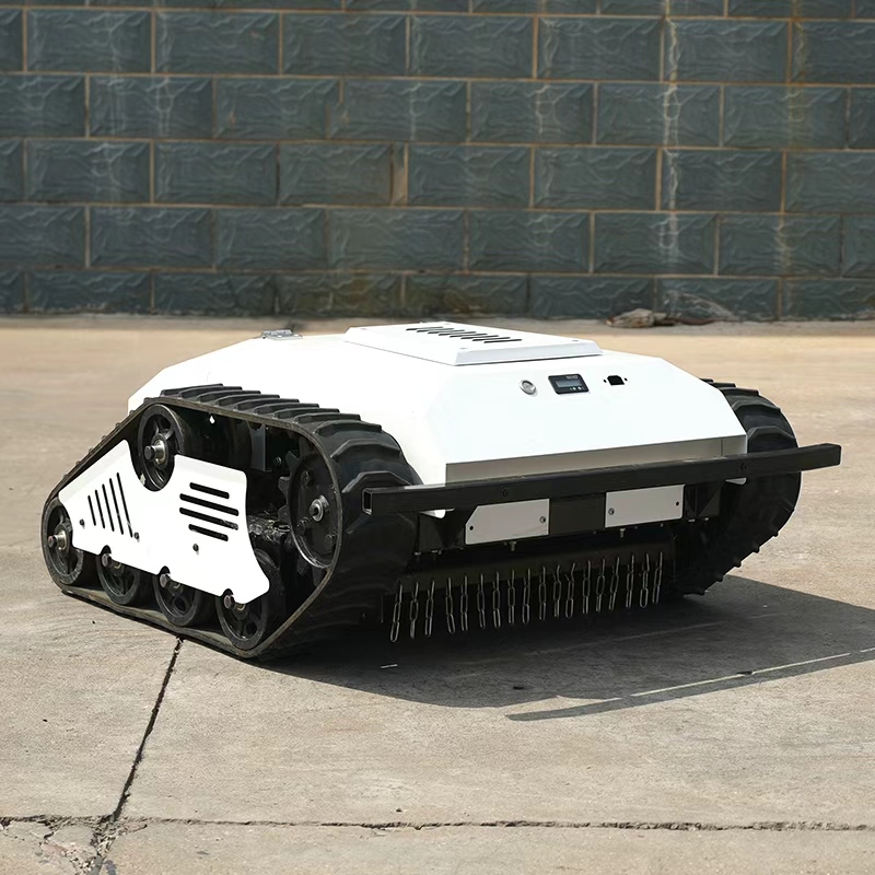 Powerful Durable Lithium Batte - Lawn Mower Battery 评论和价格