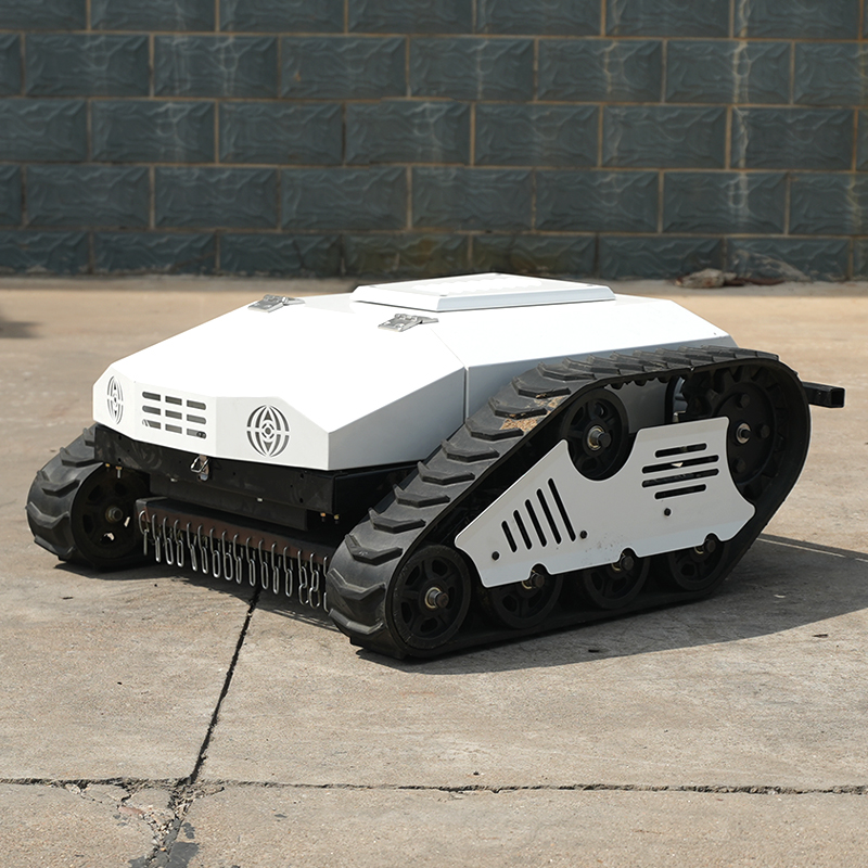 Powerful Durable Lithium Batte - Lawn Mower Battery 评论和价格